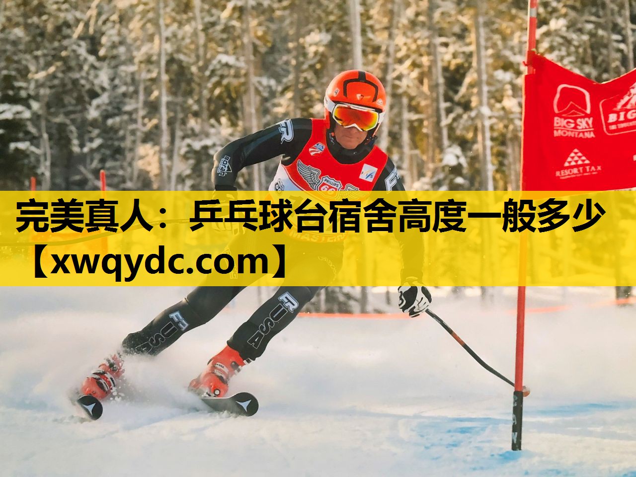 乒乓球台宿舍高度一般多少 乒乓球台宿舍高度一般多少