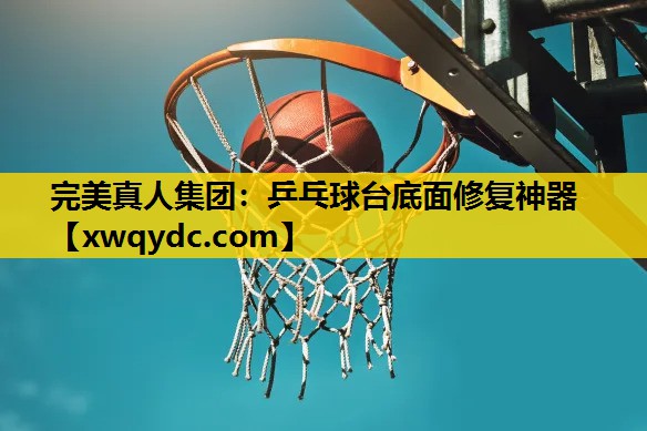 乒乓球台底面修复神器 乒乓球台底面修复神器