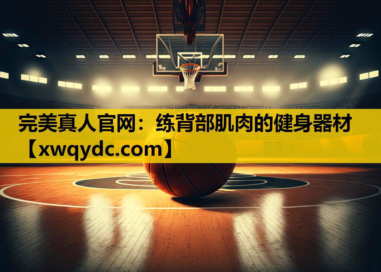练背部肌肉的健身器材 练背部肌肉的健身器材