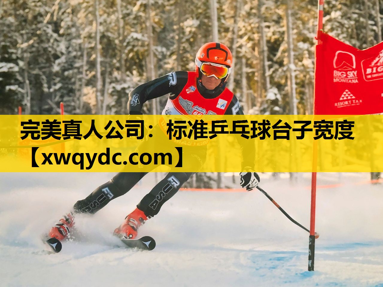 标准乒乓球台子宽度 标准乒乓球台子宽度