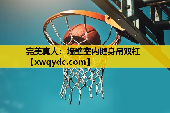 墙壁室内健身吊双杠 墙壁室内健身吊双杠
