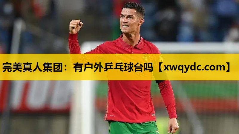 有户外乒乓球台吗 有户外乒乓球台吗