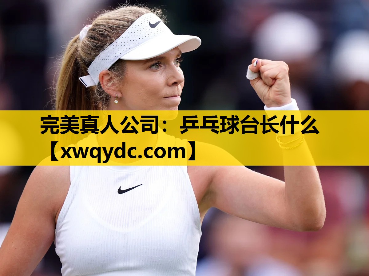 乒乓球台长什么 乒乓球台长什么