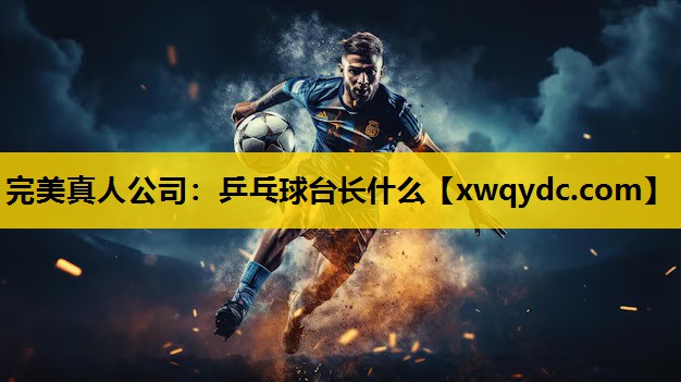 乒乓球台长什么 乒乓球台长什么