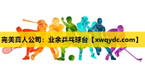 业余乒乓球台 业余乒乓球台