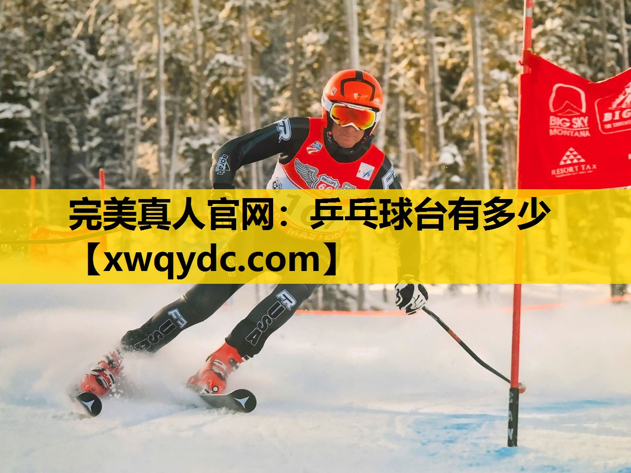 乒乓球台有多少 乒乓球台有多少