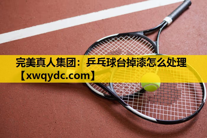 乒乓球台掉漆怎么处理 乒乓球台掉漆怎么处理