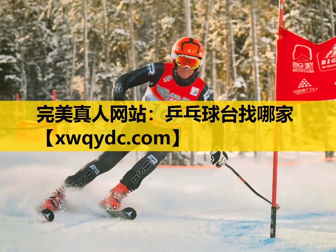 乒乓球台找哪家 乒乓球台找哪家