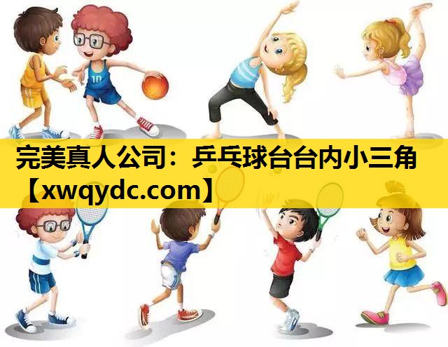 乒乓球台台内小三角 乒乓球台台内小三角