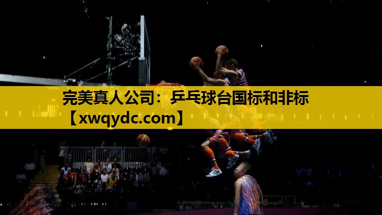 乒乓球台国标和非标 乒乓球台国标和非标