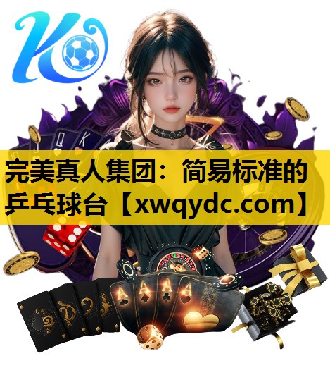 简易标准的乒乓球台 简易标准的乒乓球台