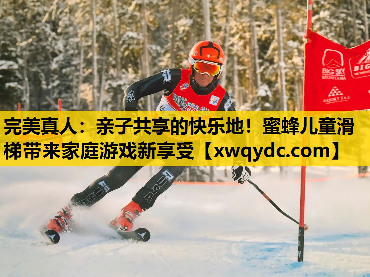 亲子共享的快乐地!蜜蜂儿童滑梯带来家庭游戏新享受 亲子共享的快乐地!蜜蜂儿童滑梯带来家庭游戏新享受