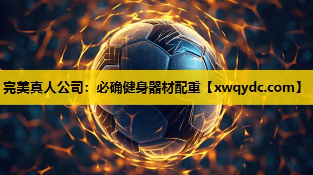 必确健身器材配重 必确健身器材配重