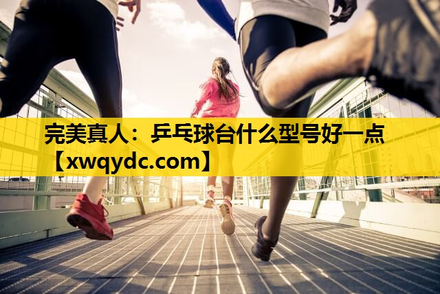 乒乓球台什么型号好一点 乒乓球台什么型号好一点