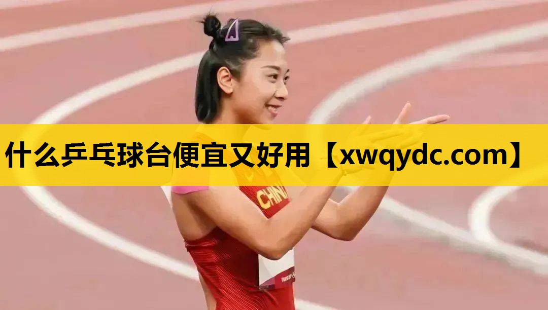 什么乒乓球台便宜又好用 什么乒乓球台便宜又好用