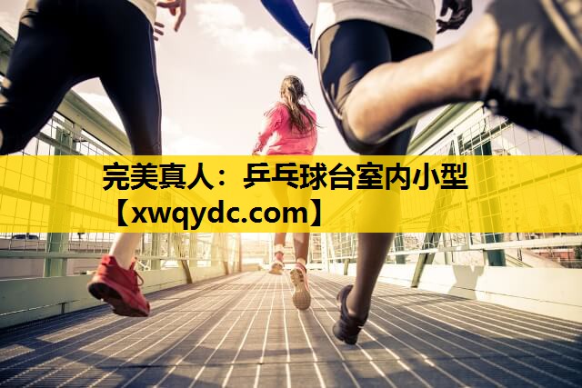 乒乓球台室内小型 乒乓球台室内小型