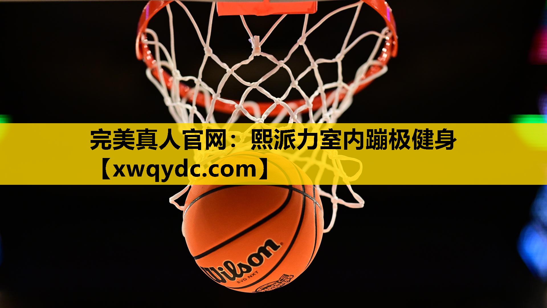 熙派力室内蹦极健身 熙派力室内蹦极健身