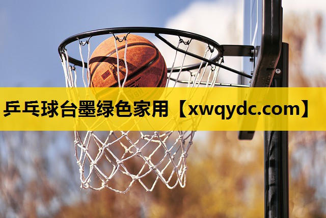 乒乓球台墨绿色家用 乒乓球台墨绿色家用