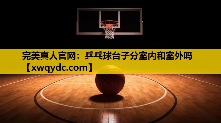 乒乓球台子分室内和室外吗 乒乓球台子分室内和室外吗