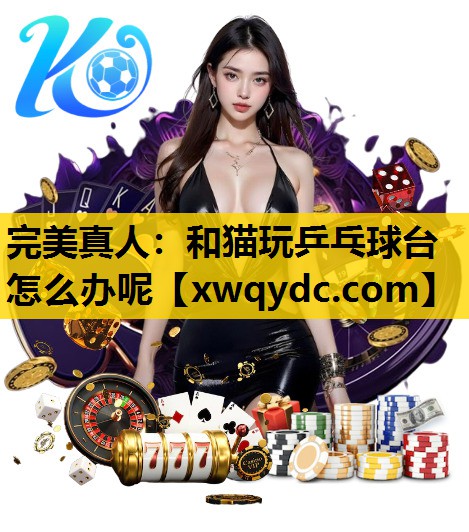 和猫玩乒乓球台怎么办呢 和猫玩乒乓球台怎么办呢