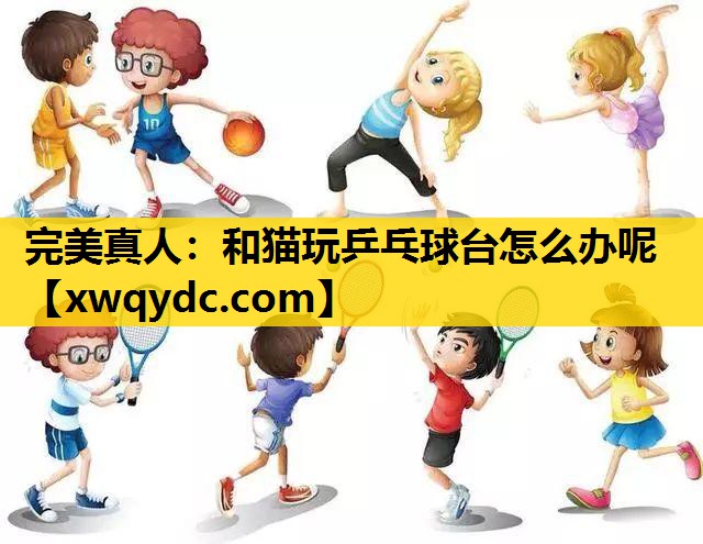 和猫玩乒乓球台怎么办呢 和猫玩乒乓球台怎么办呢
