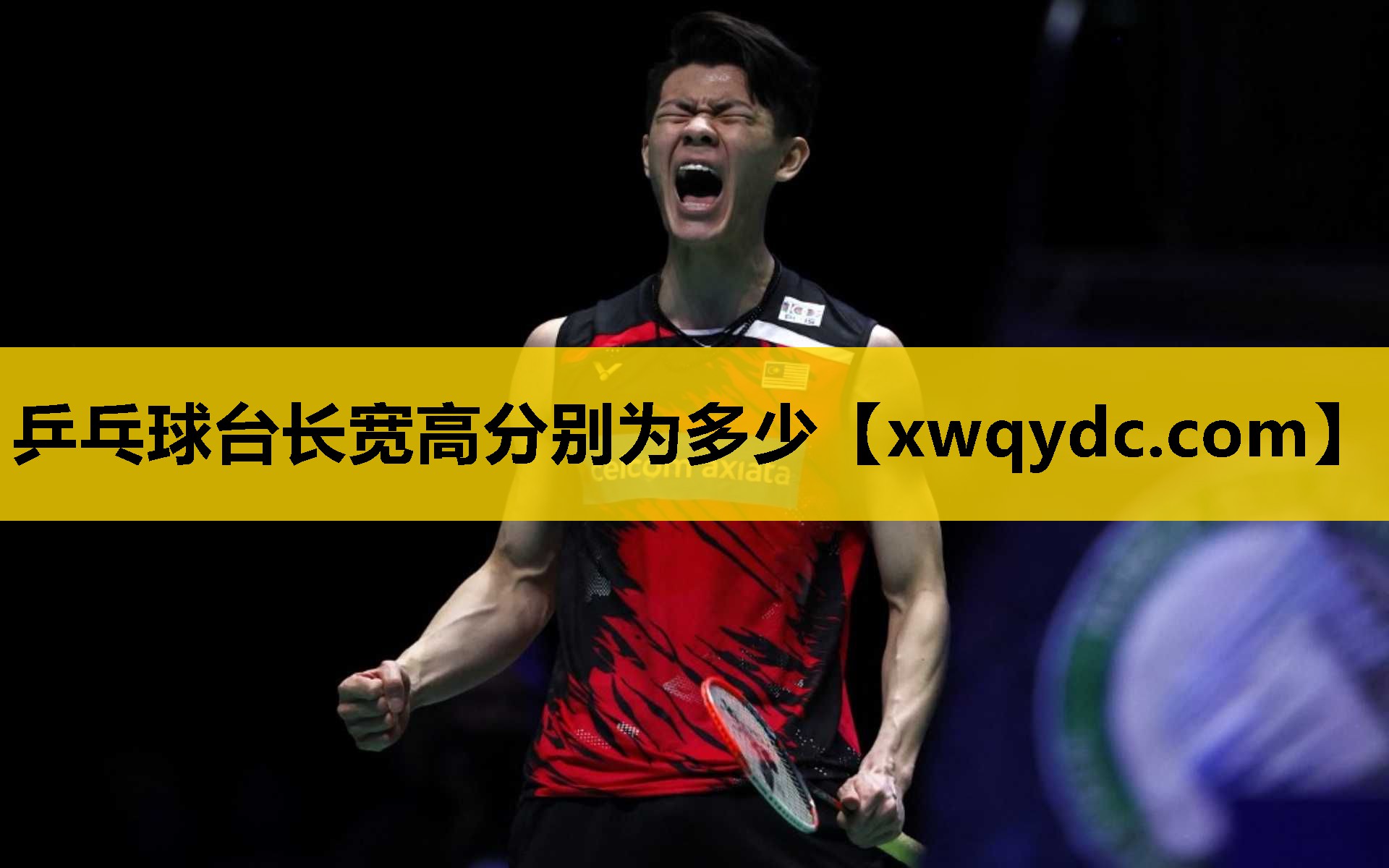 乒乓球台长宽高分别为多少 乒乓球台长宽高分别为多少