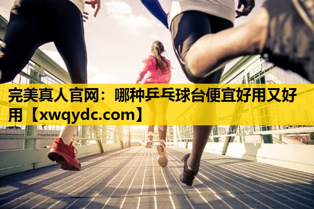 哪种乒乓球台便宜好用又好用 哪种乒乓球台便宜好用又好用