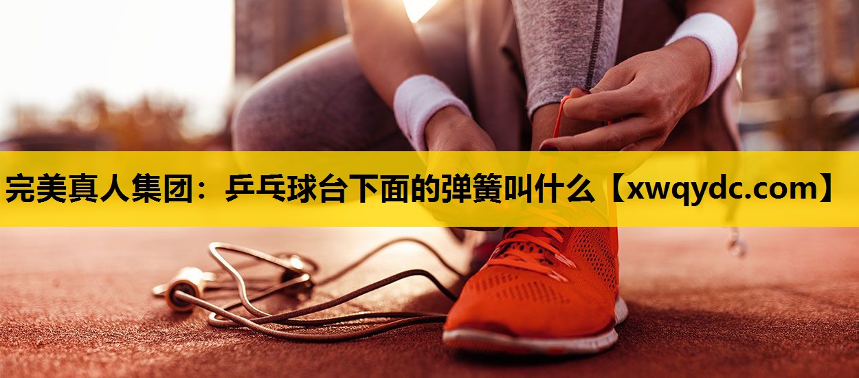 乒乓球台下面的弹簧叫什么 乒乓球台下面的弹簧叫什么