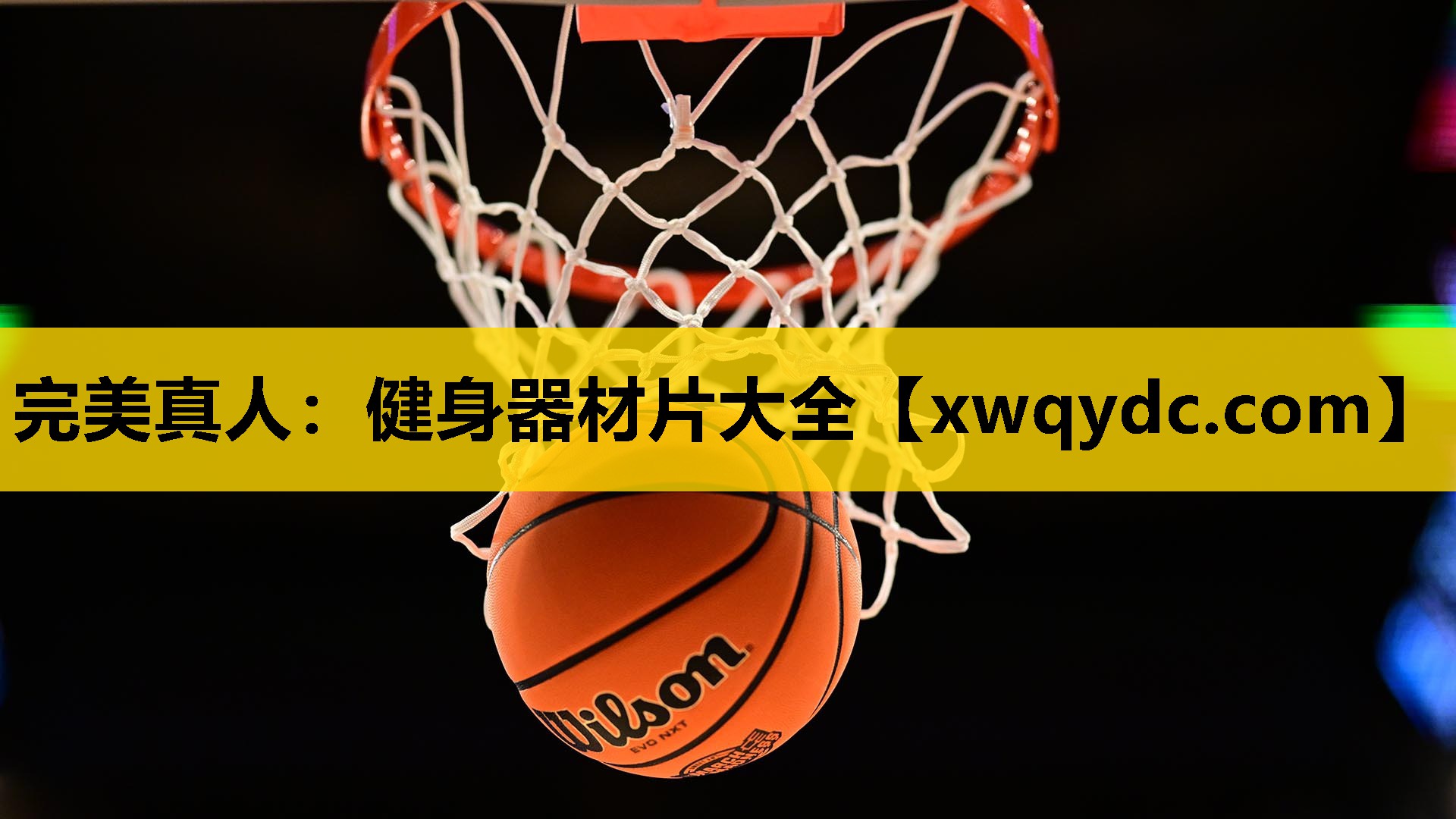 健身器材片大全 健身器材片大全