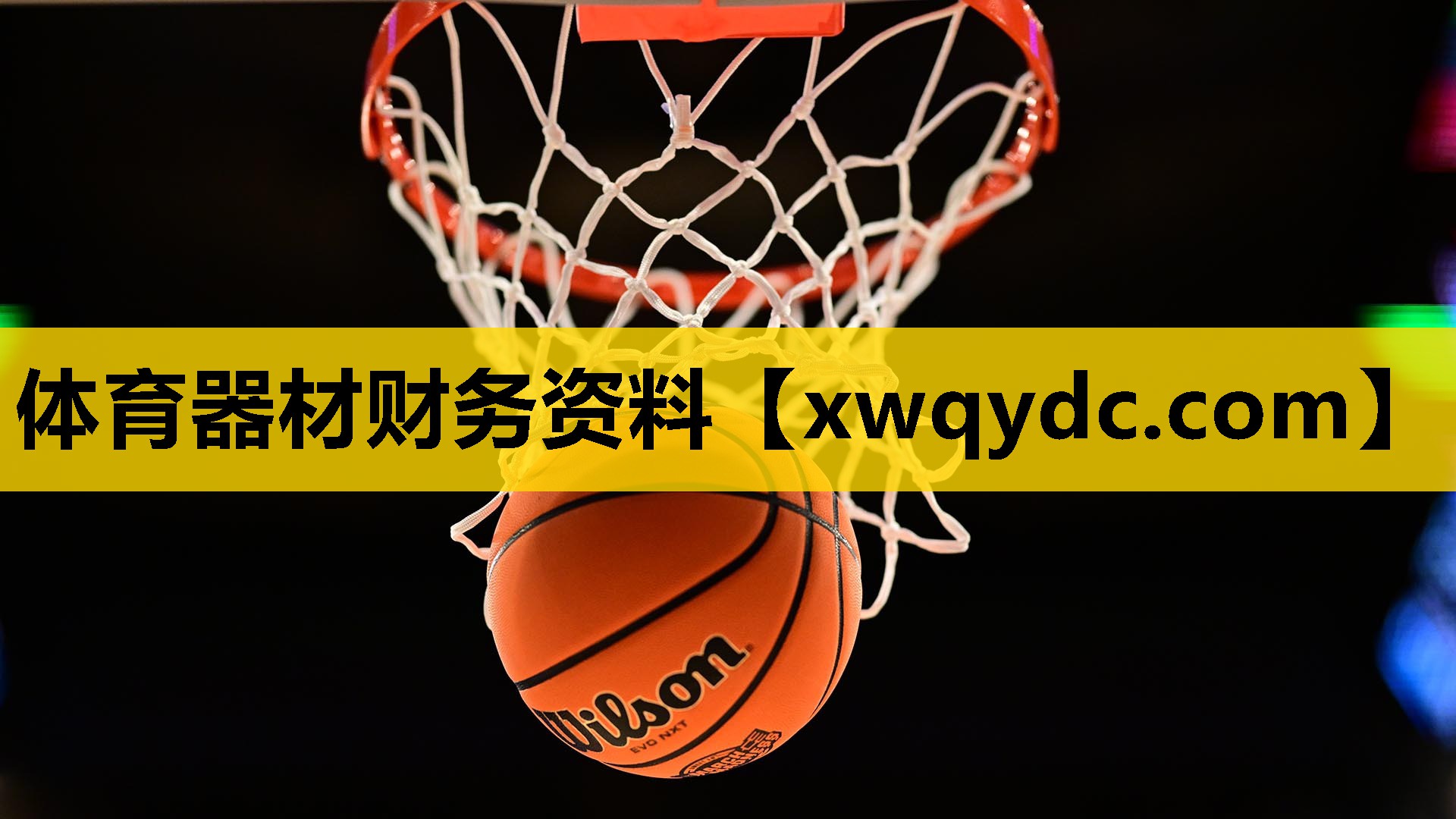 体育器材财务资料 体育器材财务资料