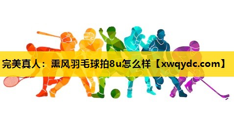 熏风羽毛球拍8u怎么样 熏风羽毛球拍8u怎么样