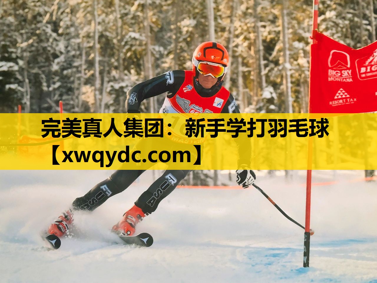 新手学打羽毛球 新手学打羽毛球
