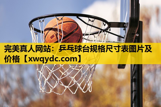 乒乓球台规格尺寸表图片及价格 乒乓球台规格尺寸表图片及价格
