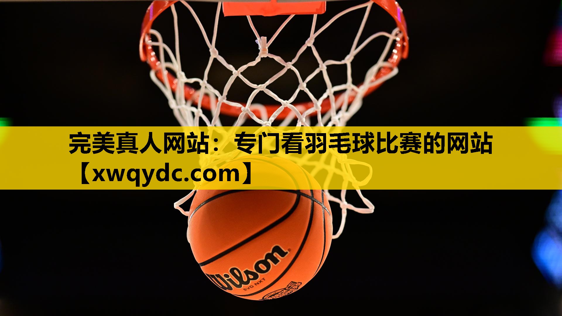 专门看羽毛球比赛的网站 专门看羽毛球比赛的网站