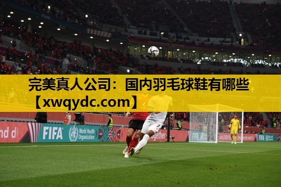 国内羽毛球鞋有哪些 国内羽毛球鞋有哪些