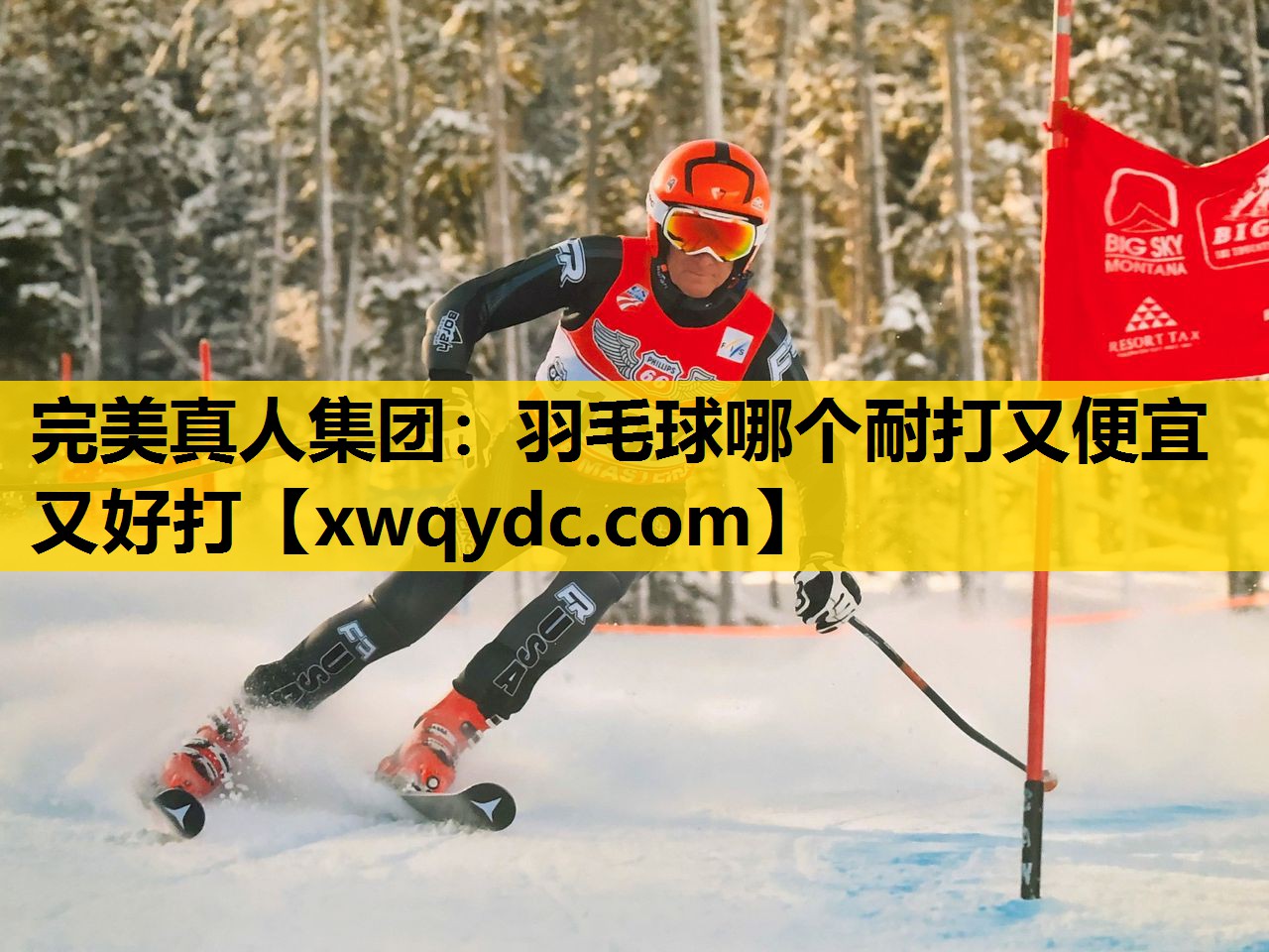 羽毛球哪个耐打又便宜又好打
