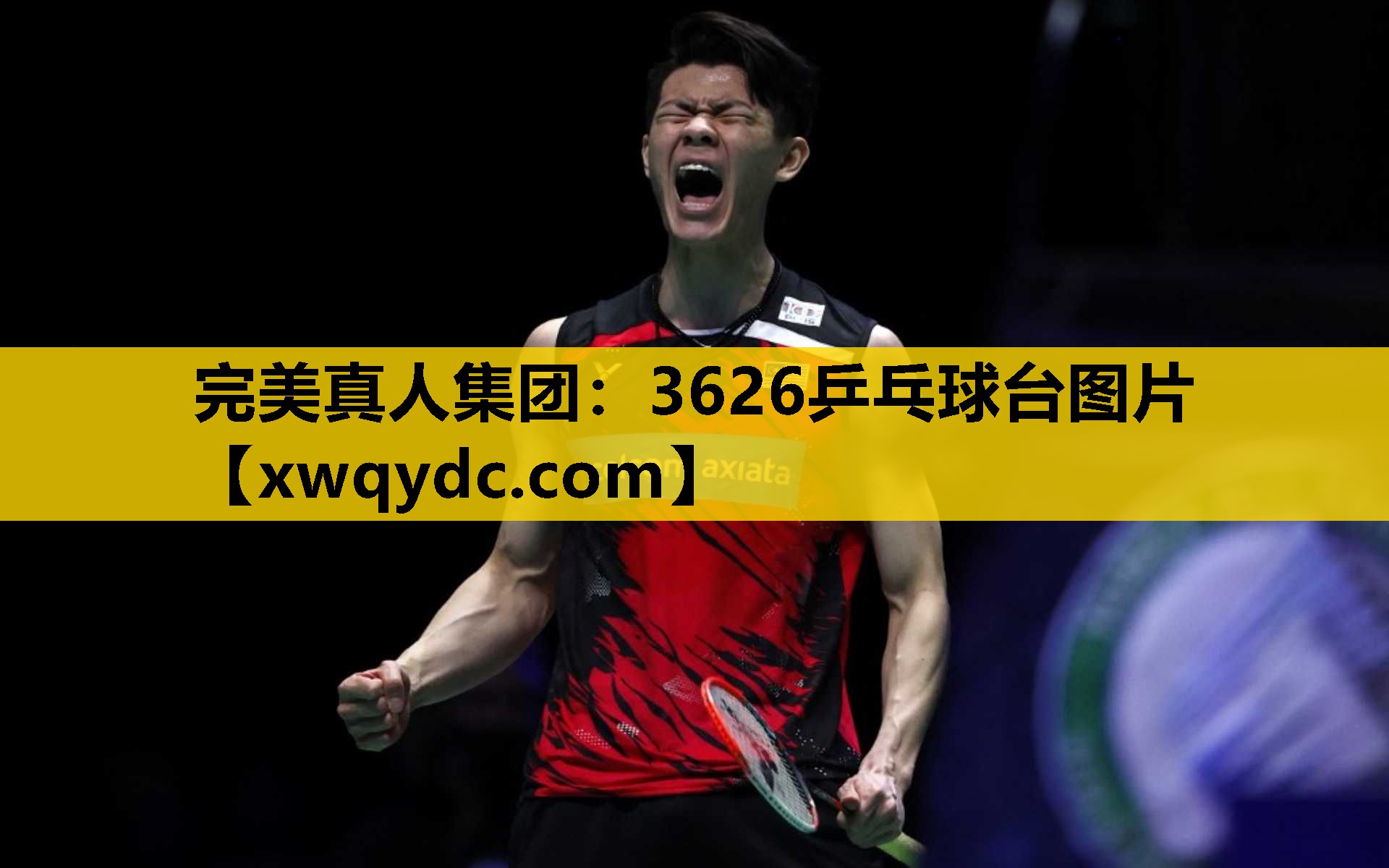 3626乒乓球台图片 3626乒乓球台图片