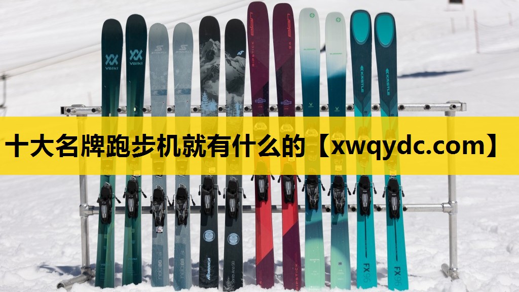 十大名牌跑步机就有什么的 十大名牌跑步机就有什么的