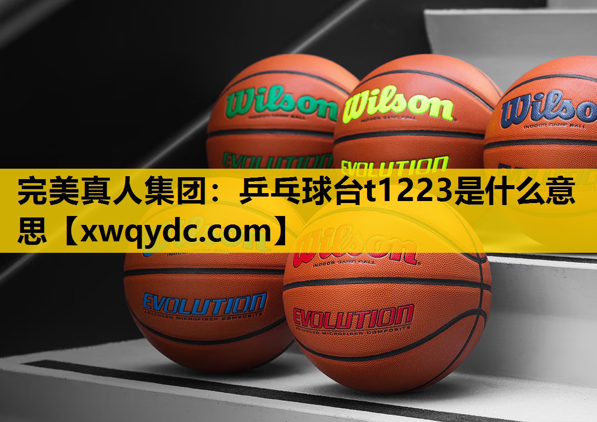 乒乓球台t1223是什么意思 乒乓球台t1223是什么意思