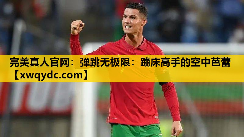 弹跳无极限:蹦床高手的空中芭蕾 弹跳无极限:蹦床高手的空中芭蕾
