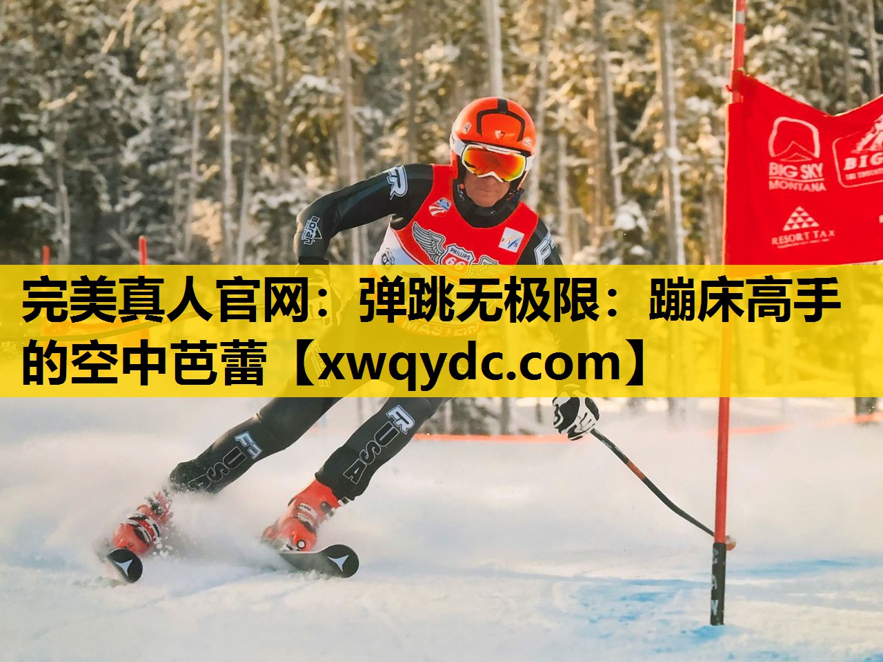 弹跳无极限:蹦床高手的空中芭蕾 弹跳无极限:蹦床高手的空中芭蕾