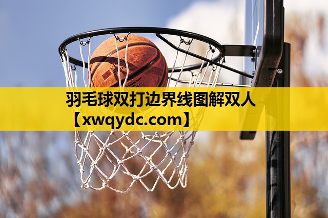 羽毛球双打边界线图解双人 羽毛球双打边界线图解双人