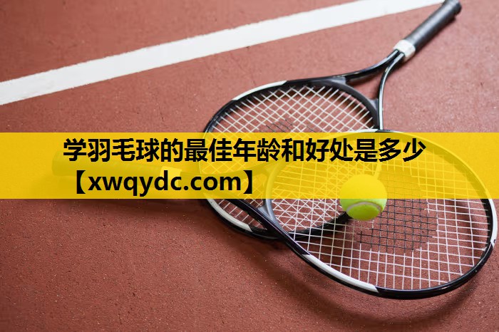 学羽毛球的最佳年龄和好处是多少 学羽毛球的最佳年龄和好处是多少
