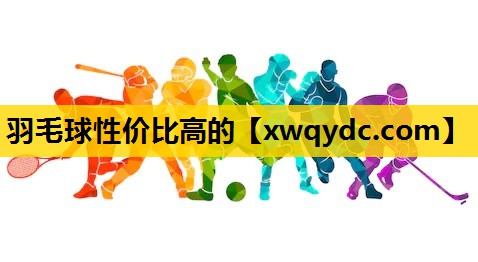 羽毛球性价比高的 羽毛球性价比高的