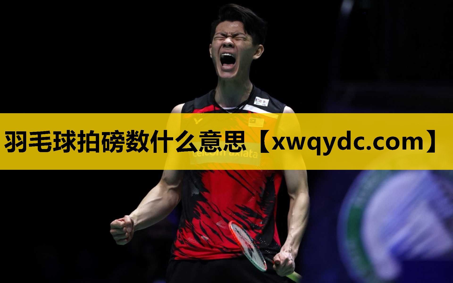 羽毛球拍磅数什么意思 羽毛球拍磅数什么意思