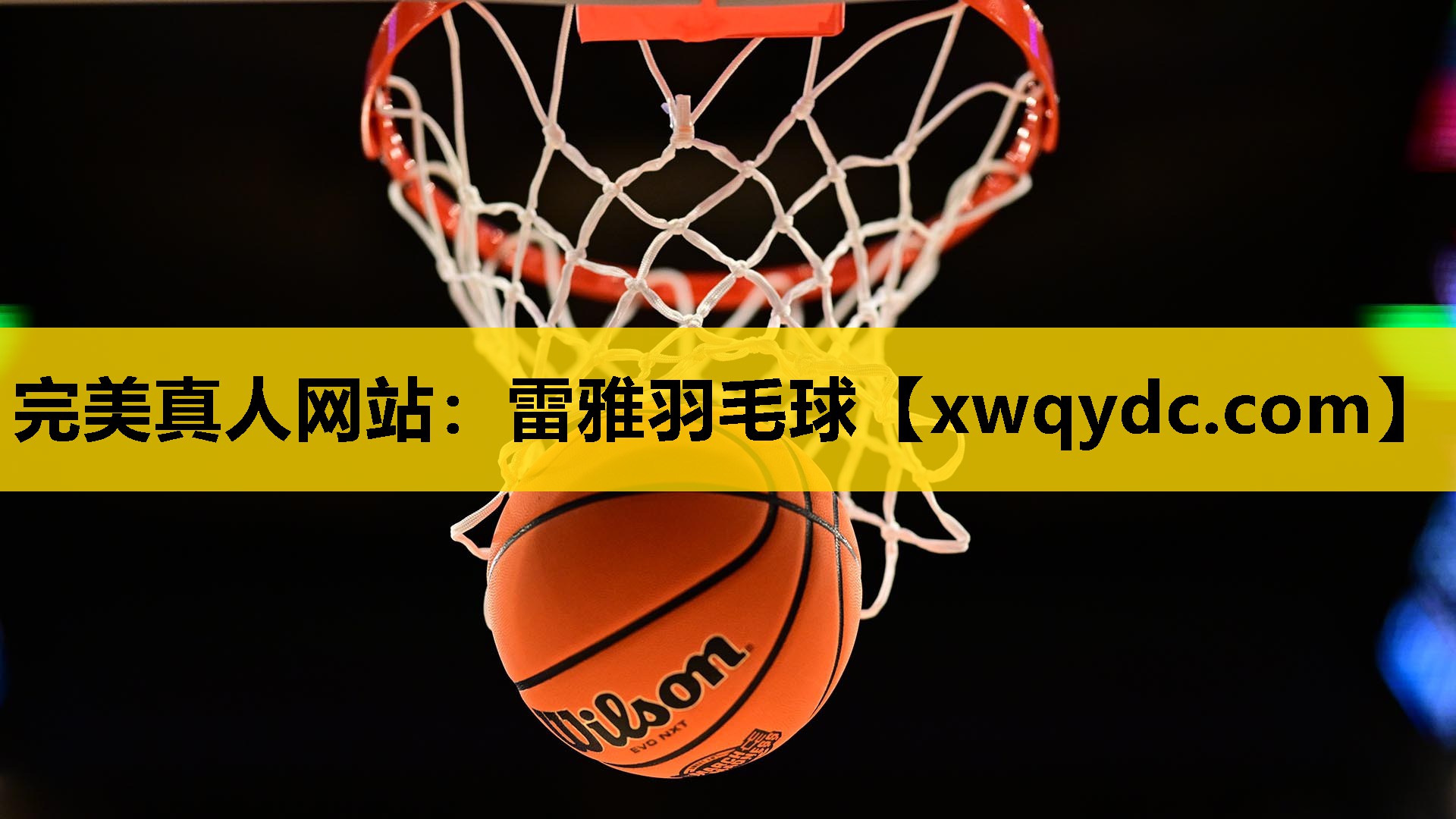 雷雅羽毛球 雷雅羽毛球